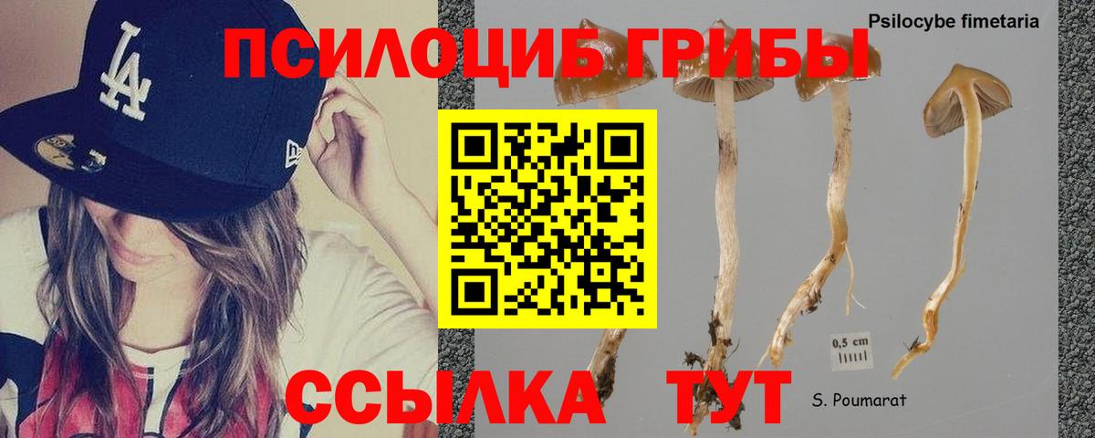 Псилоцибиновые грибы ЛСД Татарск